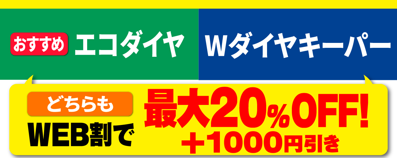 エコダイヤ・Wダイヤキーパー